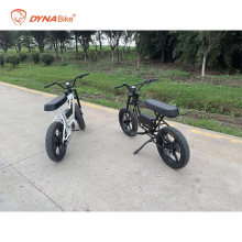 Full Suspension Fat Tire Bicycle Ebike Electric Bike